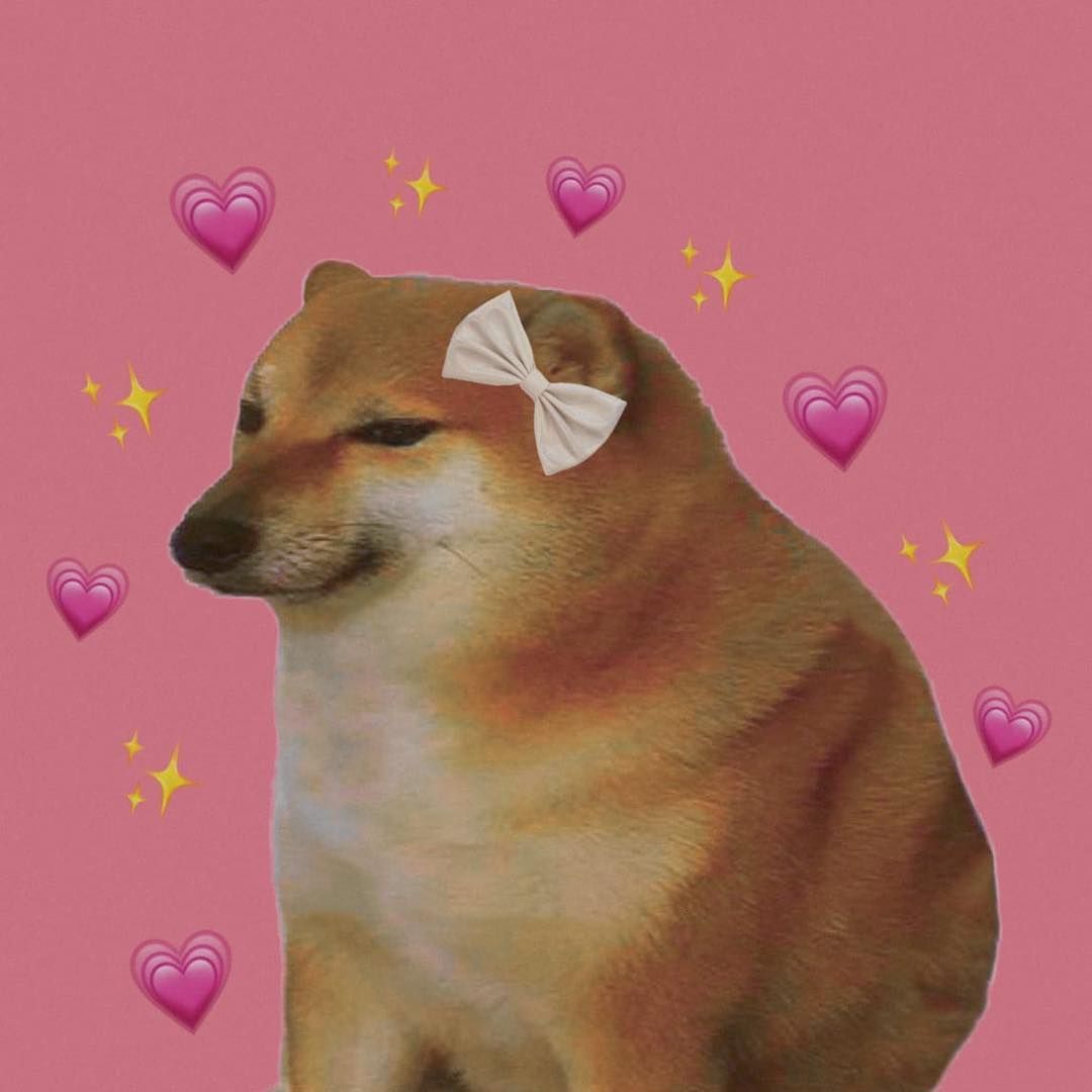 Shiba chó meme: Hãy cùng khám phá hình ảnh vui nhộn của chú chó Shiba meme nổi tiếng trên Internet. Cười đầy thỏa sức với những màn biểu cảm hài hước và đáng yêu của chú chó này.